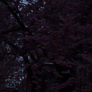 Meet your Posher, Basil